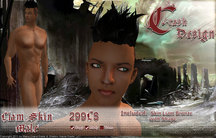 Crash Design  - Skin Liam 6