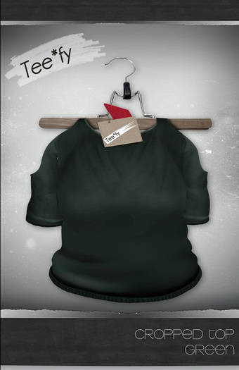 Tee*fy Cropped Top (Green)