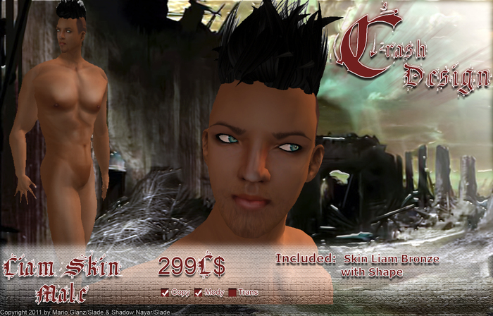 Crash Design  - Skin Liam 5