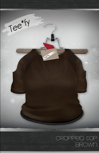 Tee*fy Cropped Top (Brown)