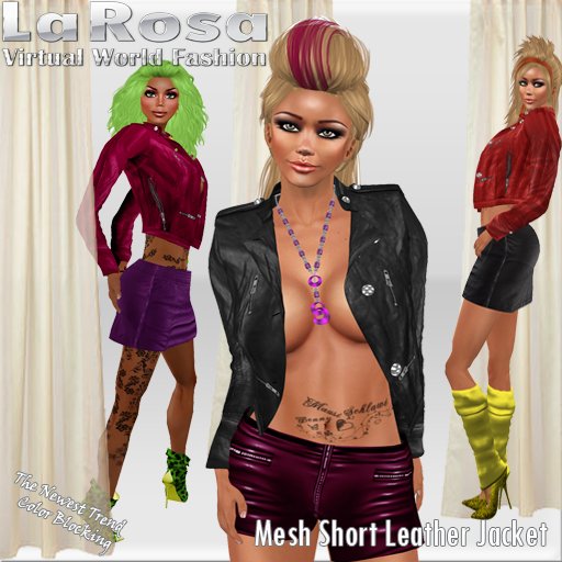 LaRosa Mesh Short Leather Jacket Color Block DEMO 