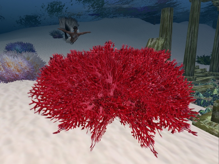 Ocean Coral Red, 1 multiface LOD prim.