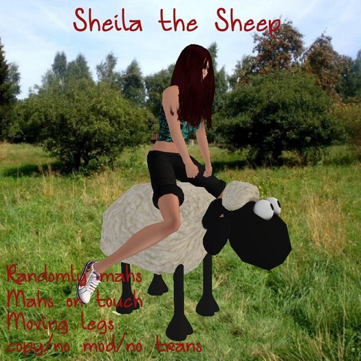 Sheila the Sheep -boxed-