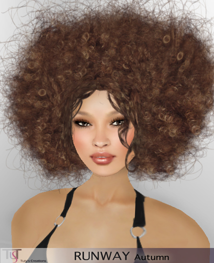 ~TuTy's~ RUNWAY Afro hairstyle - Autumn