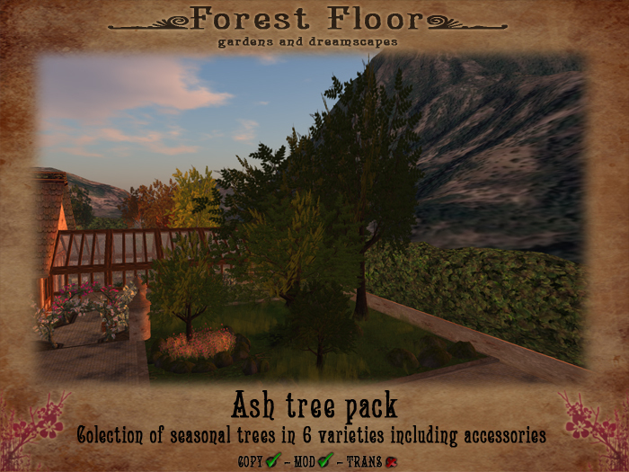 ~*Forest Floor*~ Ash Pack