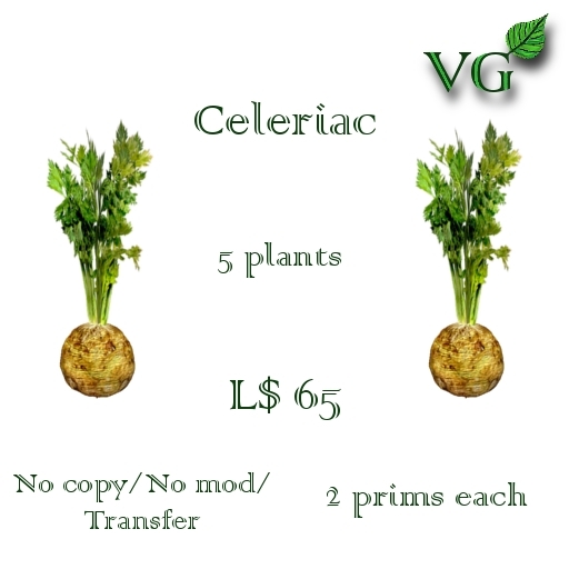 Vegetables-Celeriac