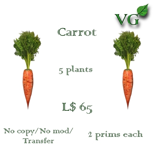 Vegetables-Carrot