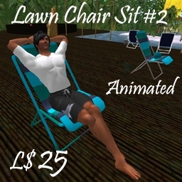 Lawn Chair Sit #2