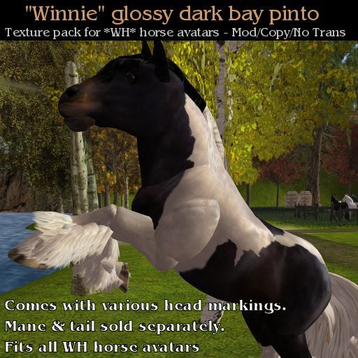 WH - Winnie - showy dark bay pinto Texture Pack for Water Horse Avatars
