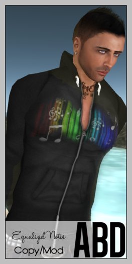 ABD :: Equalized Hoodie: Notes