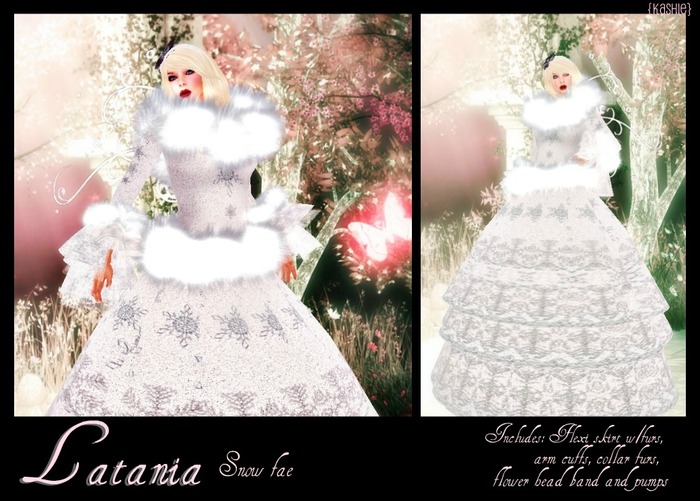 {K} Latania *Snow Fae*~