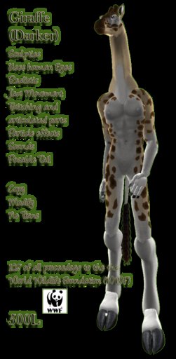 Darker Giraffe Male (Boxed)