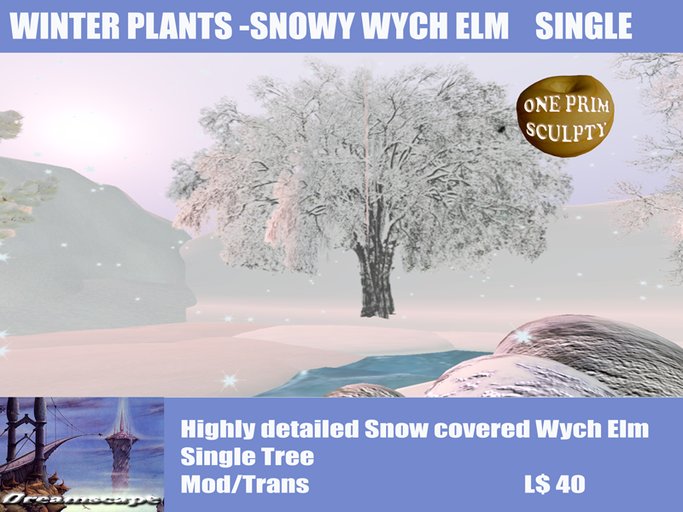 Dreamscape Winter Snowy Wych Elm Tree  Single