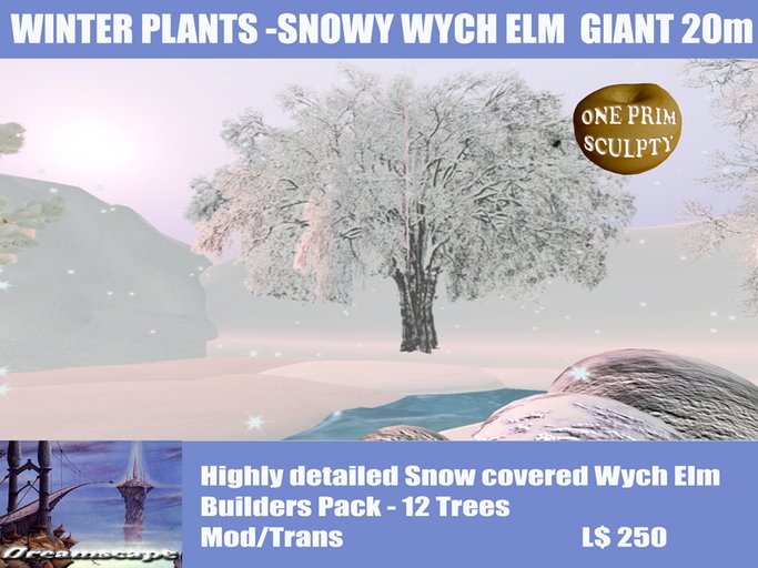Dreamscape Winter Snowy Wych Elm Tree  Builders Pack