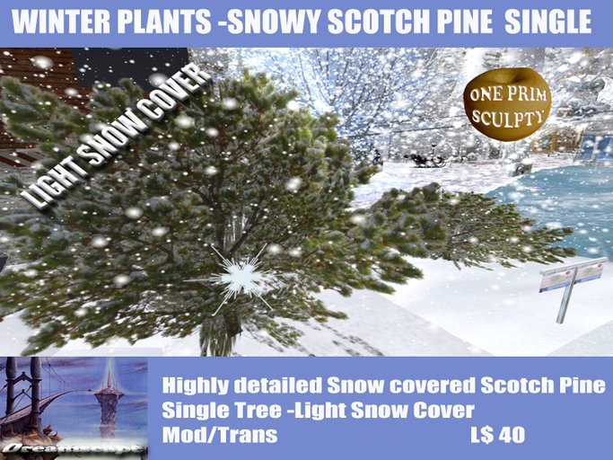 Dreamscape Winter Snowy Scotch Pine Tree (Light Snow) Single