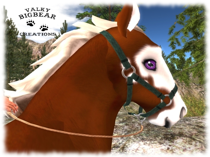 **Halter & lead rope** Green