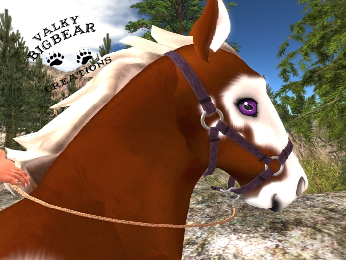 **Halter & lead rope** Violet