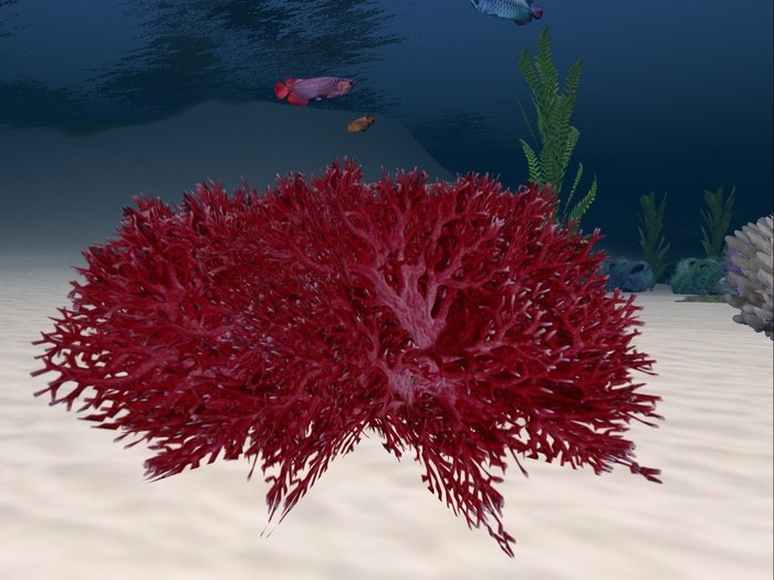 Ocean  Coral Dark, 1 multiface LOD prim.