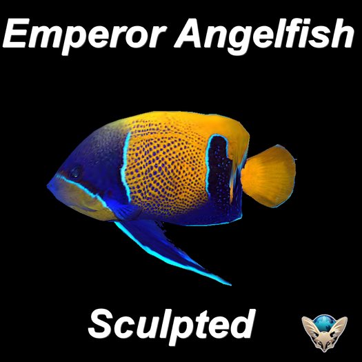 Emperor Angelfish