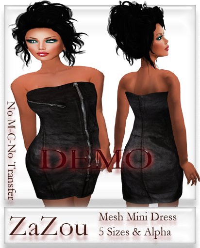 ZaZou Mini Mesh Dress Size Demo 
