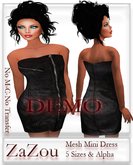 ZaZou Mini Mesh Dress Size Demo 
