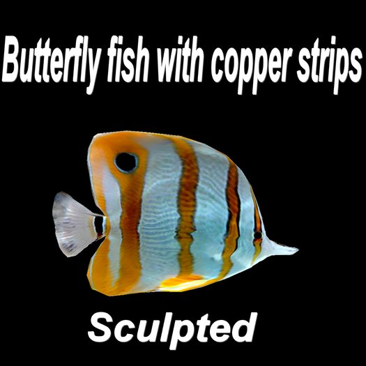 Butterfly fish with copper strips