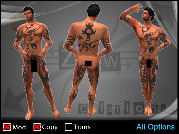 PROMO - 10L only - ZAW - Tribal Full Body