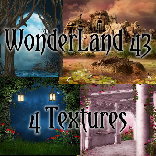 TheBox(WonderLand43)