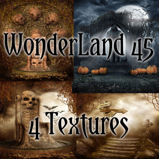 TheBox(WonderLand45)