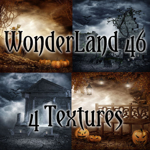 TheBox(WonderLand46)