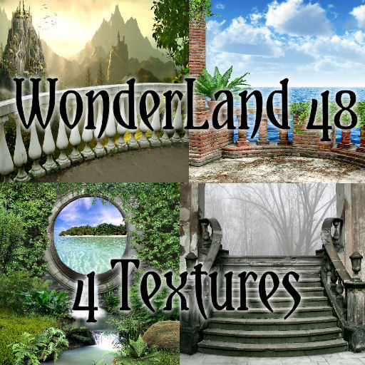 TheBox(WonderLand48)