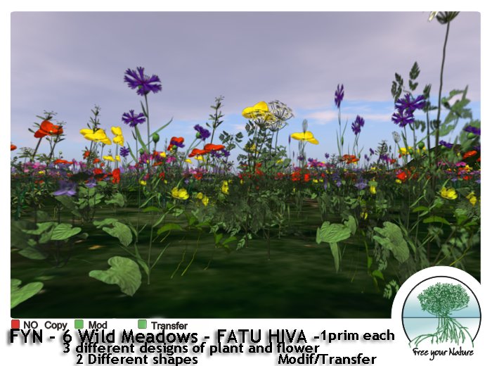 Box FYN - 6 Wild Meadows - FATU HIVA -