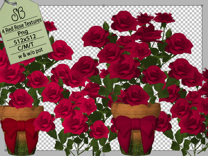 SB 4 RED ROSES W & W/O POT ALPHA TEXTURES