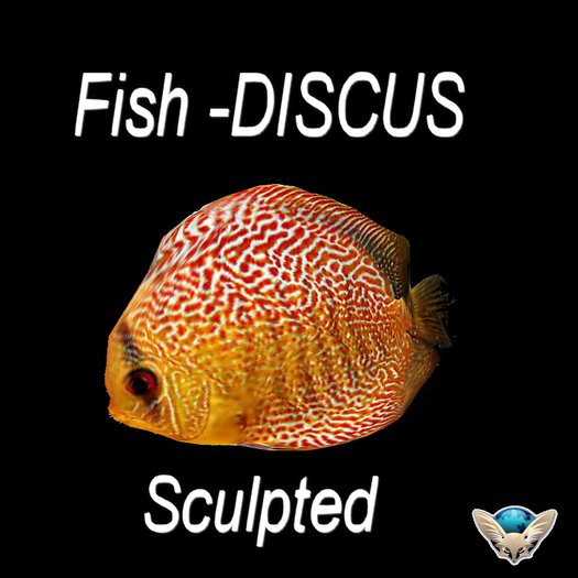 Fish-Discus