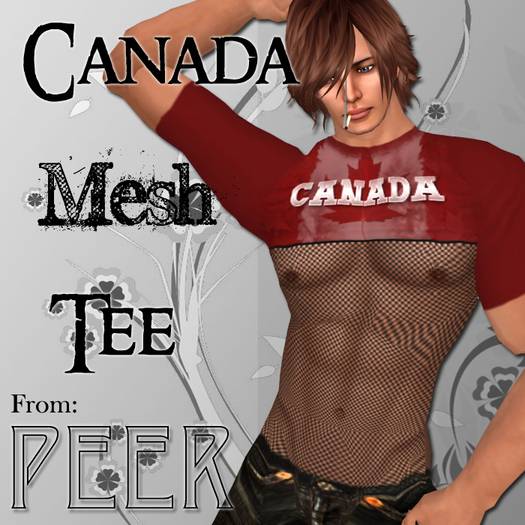 PEER Canada Mesh Tee