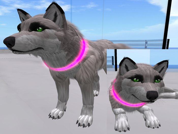 Bixxi's TWI Raver Collar Pink 