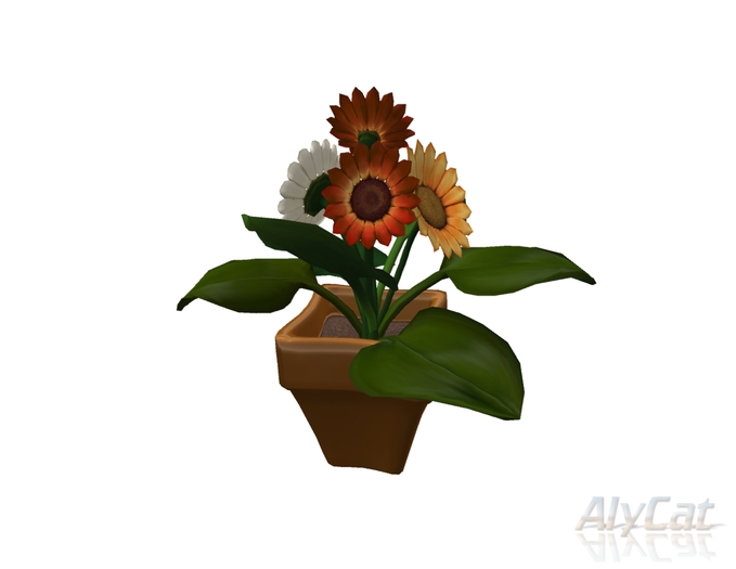 Fall Flowers in Terracotta Pot copy/mod