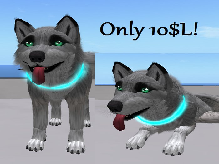 Bixxi's TWI Raver Collar Cyan