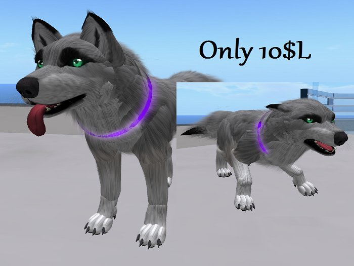 Bixxi's TWI Raver Collar Purple