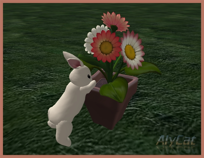 Somebunny steals flowers! 