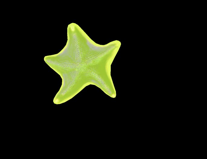 Starfish 1 yellow