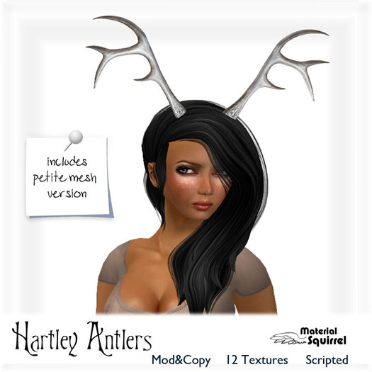 Mesh Antlers - Hartley Antlers or Horns - Copy/Mod 