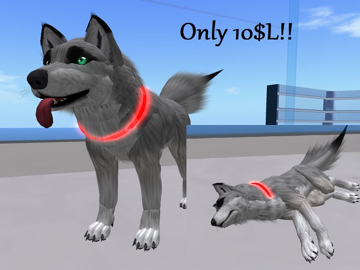 Bixxi's Collar Box (Raver) Red