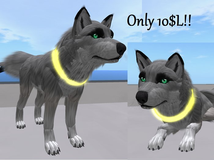 Bixxi's Collar Box (Raver) Yellow