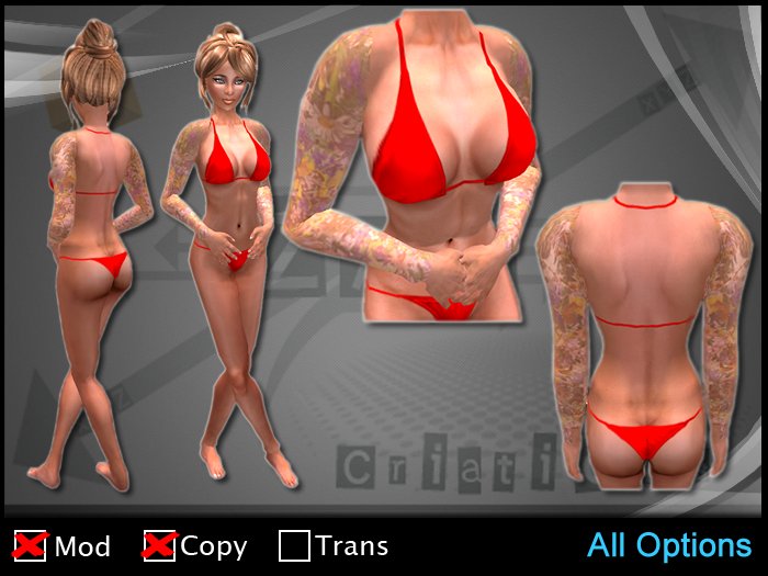 PROMO - 10L only - ZAW - Tattoo Color arms full Z2