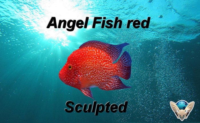 Angel Fish red