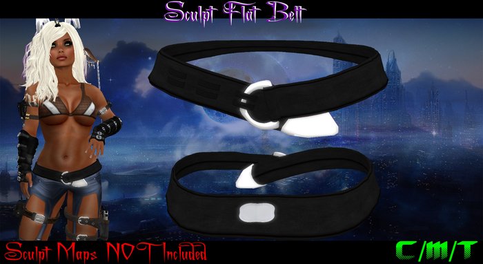Flat Belt (PLN) Boxed