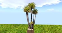 yucca pot marron clair