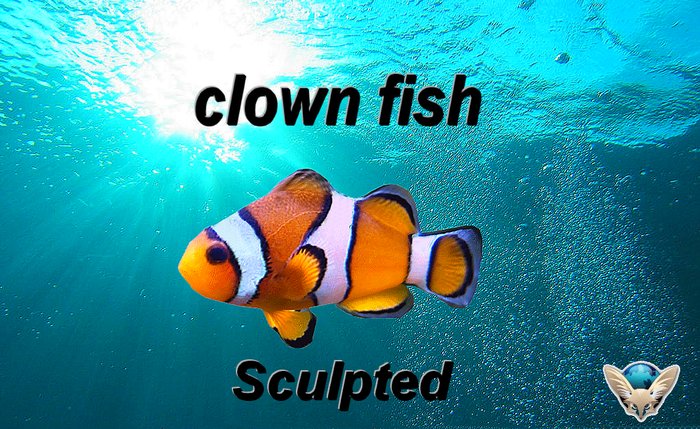 clows fish