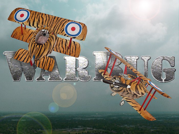 WarBug Airplane - Tiger Biplane